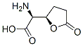 2-Furanaceticacid,alpha-aminotetrahydro-5-oxo-,(alphaS,2R)-(9CI) Structure