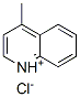 4-methylquinolinium chloride Structure