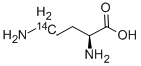 ORNITHINE, L-, [5-14C] Struktur