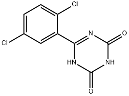 6-(2,5-dichlorophenyl)-1,3,5-Triazine-2,4(1H,3H)-dione Struktur