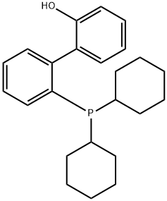 2-(二环己基膦基)-2