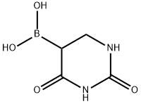 2,4-二氧代六氢嘧啶-5-基硼酸, 306935-91-1, 结构式
