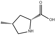 (2R,4R)-4-METHYL-2-PYROOLIDINE CARBOXYLIC ACID price.