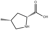 (2R,4R)-4-甲基-2-吡咯烷羧酸, 31137-95-8, 结构式
