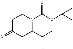 1-BOC-2-ISOPROPYL-PIPERIDIN-4-ONE Structure