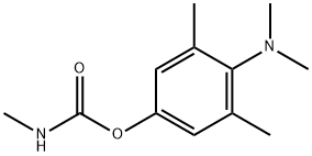 ZECTRAN Structure