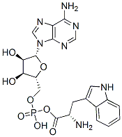 tryptophyl adenylate Structure