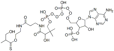 S-[2-[3-[[4-[[[5-(6-aminopurin-9-yl)-4-hydroxy-3-phosphonooxyoxolan-2-yl]methoxy-hydroxyphosphoryl]oxy-hydroxyphosphoryl]oxy-2-hydroxy-3,3-dimethylbutanoyl]amino]propanoylamino]ethyl] 3-hydroxy-2-methylpropanethioate Structure