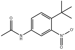 N-(3-nitro-4-tert-butyl-phenyl)acetamide Structure