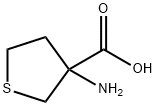 3-AMINO-TETRAHYDRO-THIOPHENE-3-CARBOXYLIC ACID|3-氨基四氢噻吩-3-羧酸