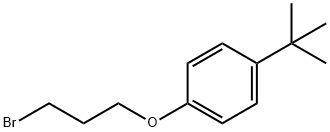 1-(3-BROMOPROPOXY)-4-TERT-BUTYLBENZENE|1-(3-溴丙氧基)-4-(叔丁基)苯