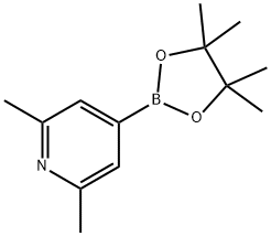 2,6-DIMETHYLPYRIDINE-4-BORONIC ACID, PINACOL ESTER Struktur