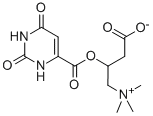 3-Carboxy-2-hydroxy-N,N,N-trimethyl-1-propanaminium 1,2,3,6-tetrahydro-2,6-dioxo-4-pyrimidinecarboxylic acid salt Structure