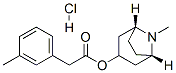 [(1S,5R)-8-methyl-8-azabicyclo[3.2.1]oct-3-yl] 2-(3-methylphenyl)aceta te hydrochloride|