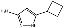 3-アミノ-5-シクロブチル-1H-ピラゾール 化学構造式