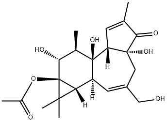 (1aR)-9aα-アセチルオキシ-1,1aα,1bβ,4,4a,7aα,7b,8,9,9a-デカヒドロ-4aβ,7bα,9β-トリヒドロキシ-3-ヒドロキシメチル-1,1,6,8α-テトラメチル-5H-シクロプロパ[3,4]ベンゾ[1,2-e]アズレン-5-オン 化学構造式
