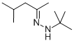 4-methylpentan-2-one tert-butylhydrazone Struktur