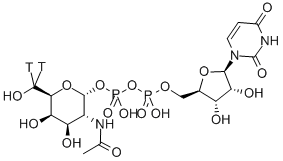URIDINE DIPHOSPHATE NACETYLDGALACTOSAMINE, [GALACTOSAMINE63H(N