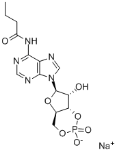 Adenosine, N-(1-oxobutyl)-, cyclic 3',5'-(hydrogen phosphate), sodium salt Structure