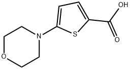 5-モルホリノチオフェン-2-カルボン酸 化学構造式