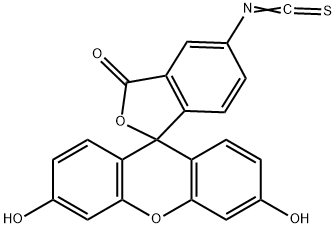 フルオレセインイソチオシアナート (I型) 化学構造式
