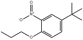 对叔丁基邻硝基苯丙醚,33353-60-5,结构式