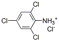 2,4,6-trichloroanilinium chloride Structure