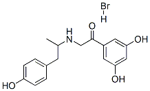 1-(3,5-ジヒドロキシフェニル)-2-[[2-(4-ヒドロキシフェニル)-1-メチルエチル]アミノ]エタノン・臭化水素酸塩 化学構造式