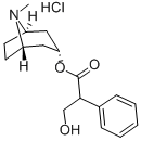 アトロピン・塩酸塩 化学構造式