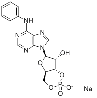 34051-30-4 N6-フェニルCAMPナトリウム塩