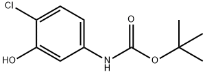 TERT-BUTYL 4-CHLORO-3-HYDROXYPHENYLCARBAMATE Struktur
