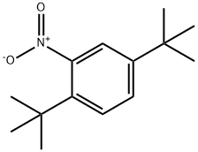2,5-ジtert-ブチル-1-ニトロベンゼン 化学構造式