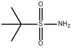 TERT-BUTYLSULFONAMIDE Structure