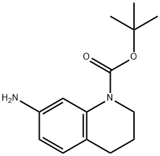 7-アミノ-3,4-ジヒドロキノリン-1(2H)-カルボン酸TERT-ブチル 化学構造式