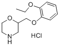 2-[(2-ethoxyphenoxy)methyl]morpholine hydrochloride