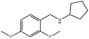 CYCLOPENTYL-(2,4-DIMETHOXY-BENZYL)-AMINE Structure