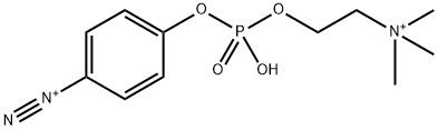 p-Diazonium Phenylphosphorylcholine Struktur