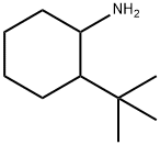 2-tert-butylcyclohexanamine Structure