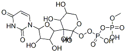 [5-(2,4-dioxopyrimidin-1-yl)-3,4-dihydroxy-oxolan-2-yl]methoxy-[hydroxy-(3,4,5-trihydroxyoxan-2-yl)oxy-phosphoryl]oxy-phosphinic acid Struktur