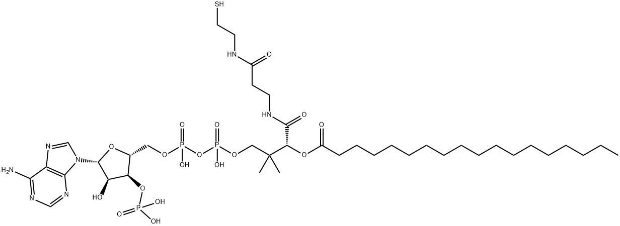 アデノシン3'-りん酸5'-[二りん酸β-[(R)-3-ヒドロキシ-4-[[3-[[2-(オクタデカノイルチオ)エチル]アミノ]-3-オキソプロピル]アミノ]-2,2-ジメチル-4-オキソブチル]] 化学構造式