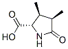 (2S,3S,4R)-3,4-二甲基-5-氧吡咯烷-2-羧酸, 362660-27-3, 结构式