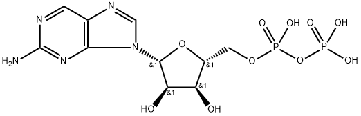 2-氨基嘌呤核苷二磷酸酯 结构式