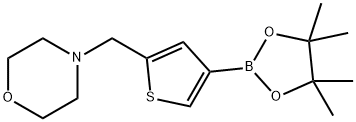 4-{[4-(テトラメチル-1,3,2-ジオキサボロラン-2-イル)チオフェン-2-イル]メチル}モルホリン 化学構造式
