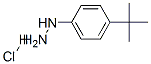 4-tert-Butylphenylhydrazine hydrochloride Structure