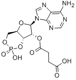 36940-87-1 2'-O-MONOSUCCINYLADENOSINE 3':5'-CYCLIC MONOPHOSPHATE