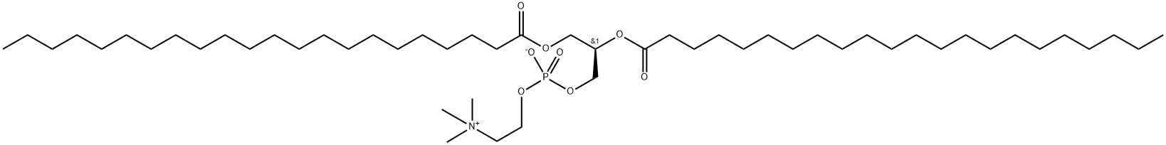 1,2-DIDOCOSANOYL-SN-GLYCERO-3-PHOSPHOCHOLINE