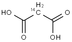 MALONIC ACID, [2-14C] Struktur