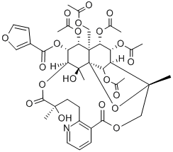 wilfortrine Structure