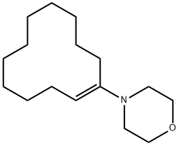 1-吗啉-1-环十二烷烯 结构式