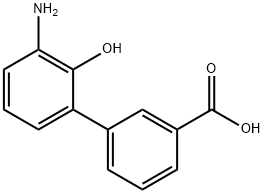 3'-氨基-2'-羟基-[1,1'-联苯]-3-甲酸,376592-93-7,结构式